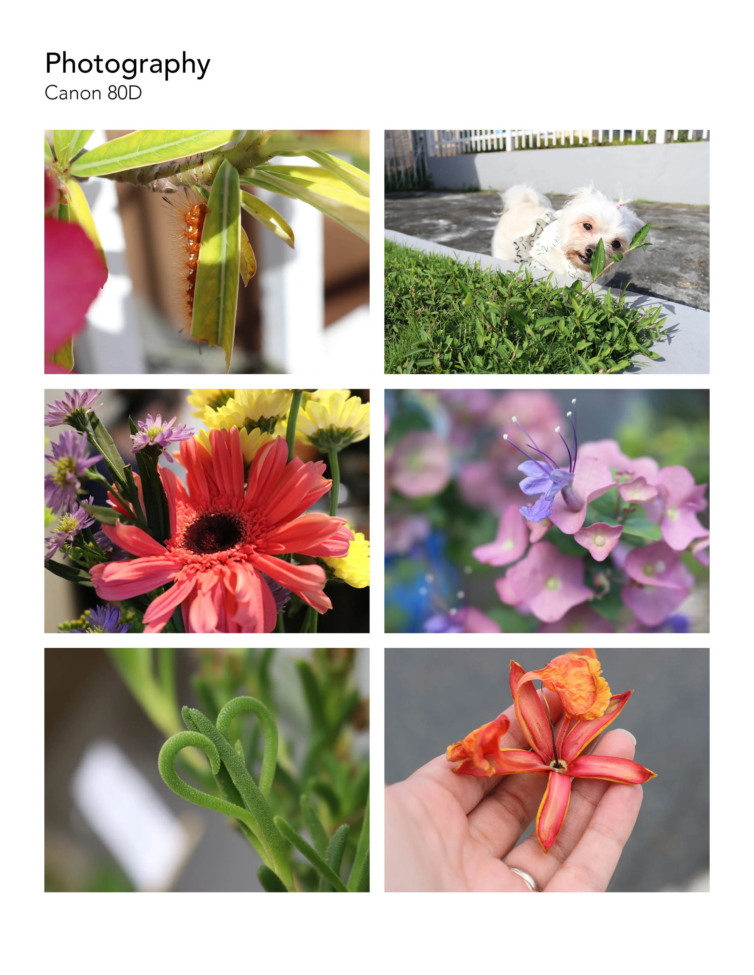 Portfolio 2018v322.jpg