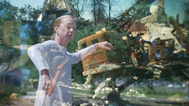 WILDFIRES THROUGH THE HEARTWOOD