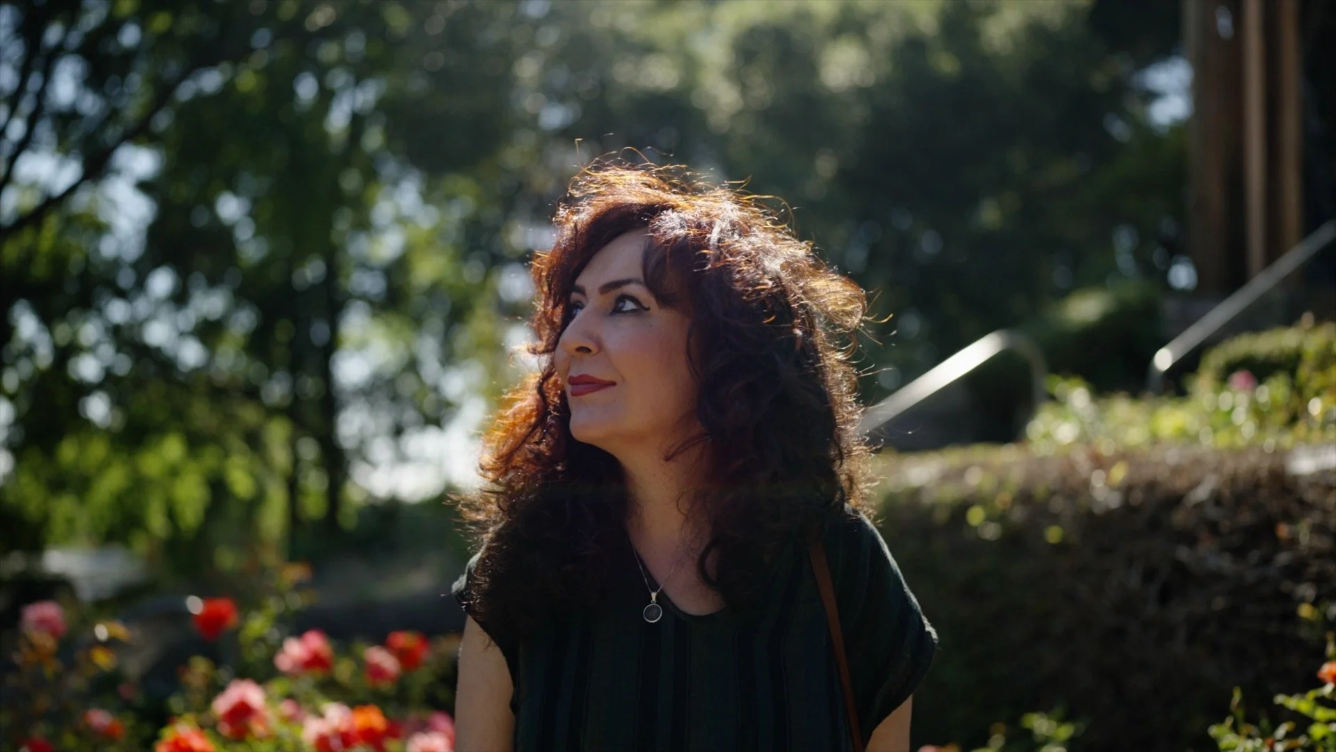 Mahsa Vahdat Explores Place and Displacement