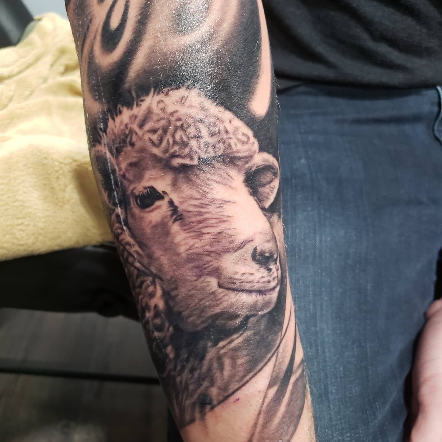 A little lamb for ya! This guy always gives me the most fun stuff to do! Thanks Jordan! 
.
#LightningRevivalTattooCompany #LightningRevivalTattooCo #LightningRevivalTattoo #LightningRevival #LRTC #LRNate #Tattoo #Tattoos #ByronCenter #Michigan #Grand