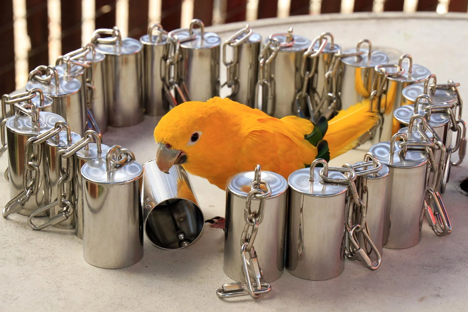 Bells, Bells, Bells!