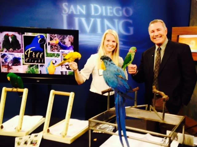 Watch Free Flight LIVE on TV!