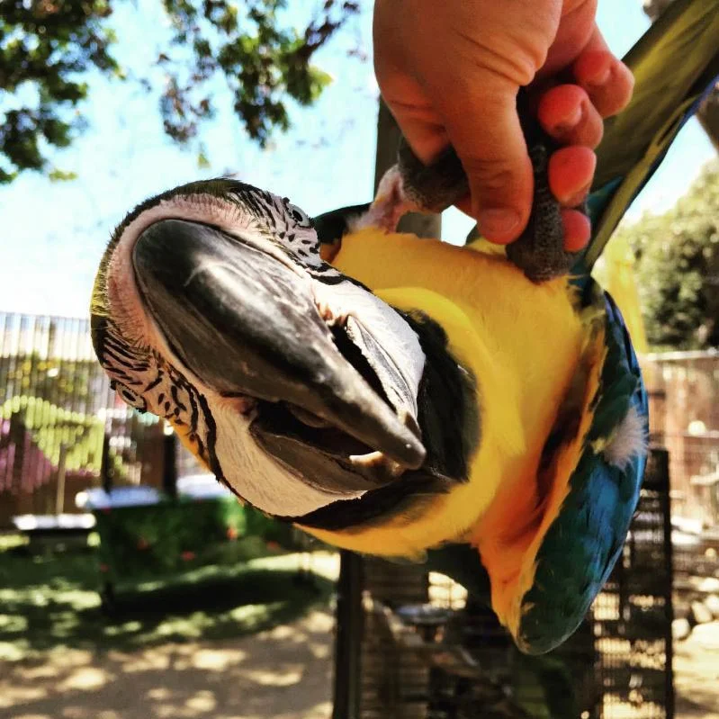 Free Flight is now on Instagram!