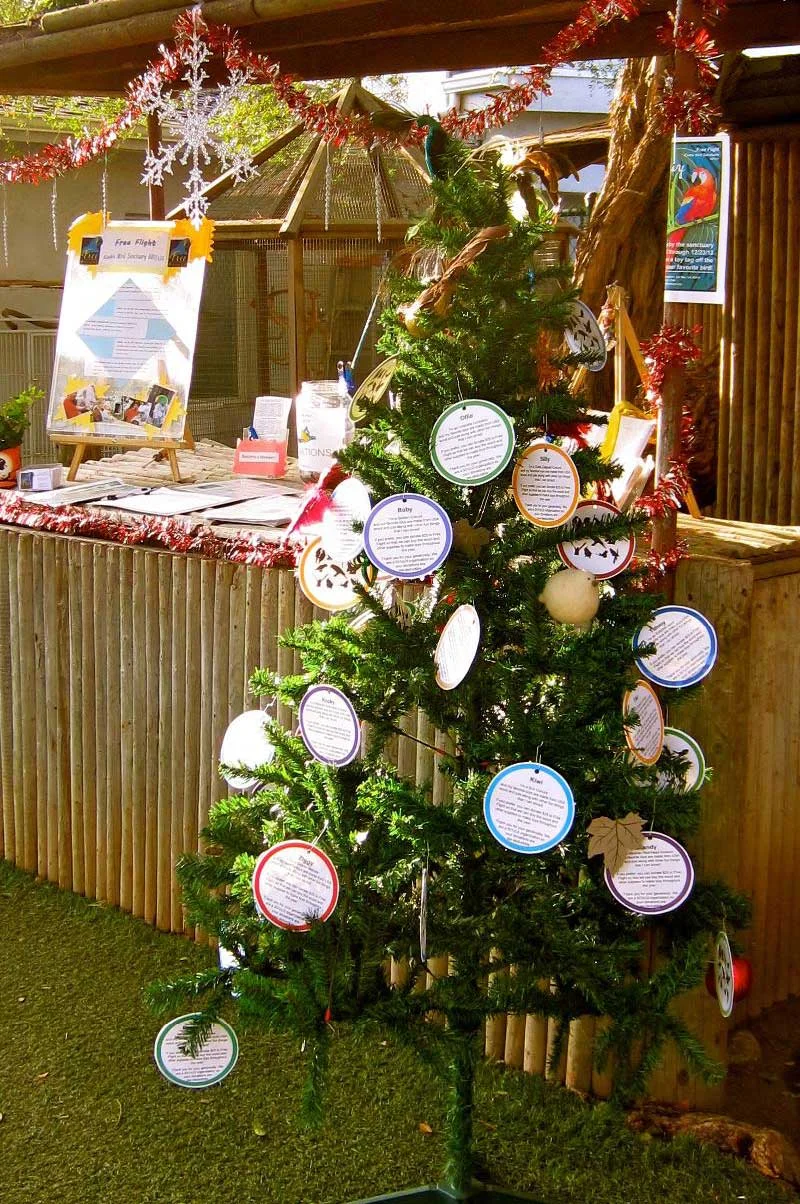 Holiday Shopping At Free Flight