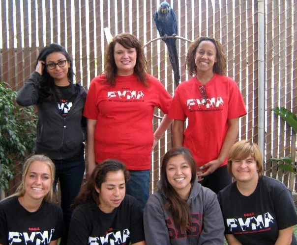 SDSU's Future Veterinarian Club regularly comes out to help out at Free Flight.