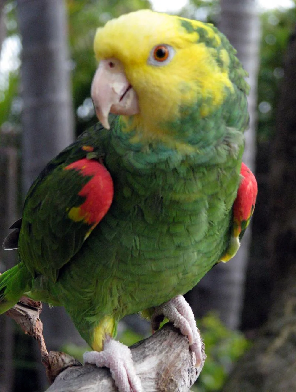 Spring is in the Air