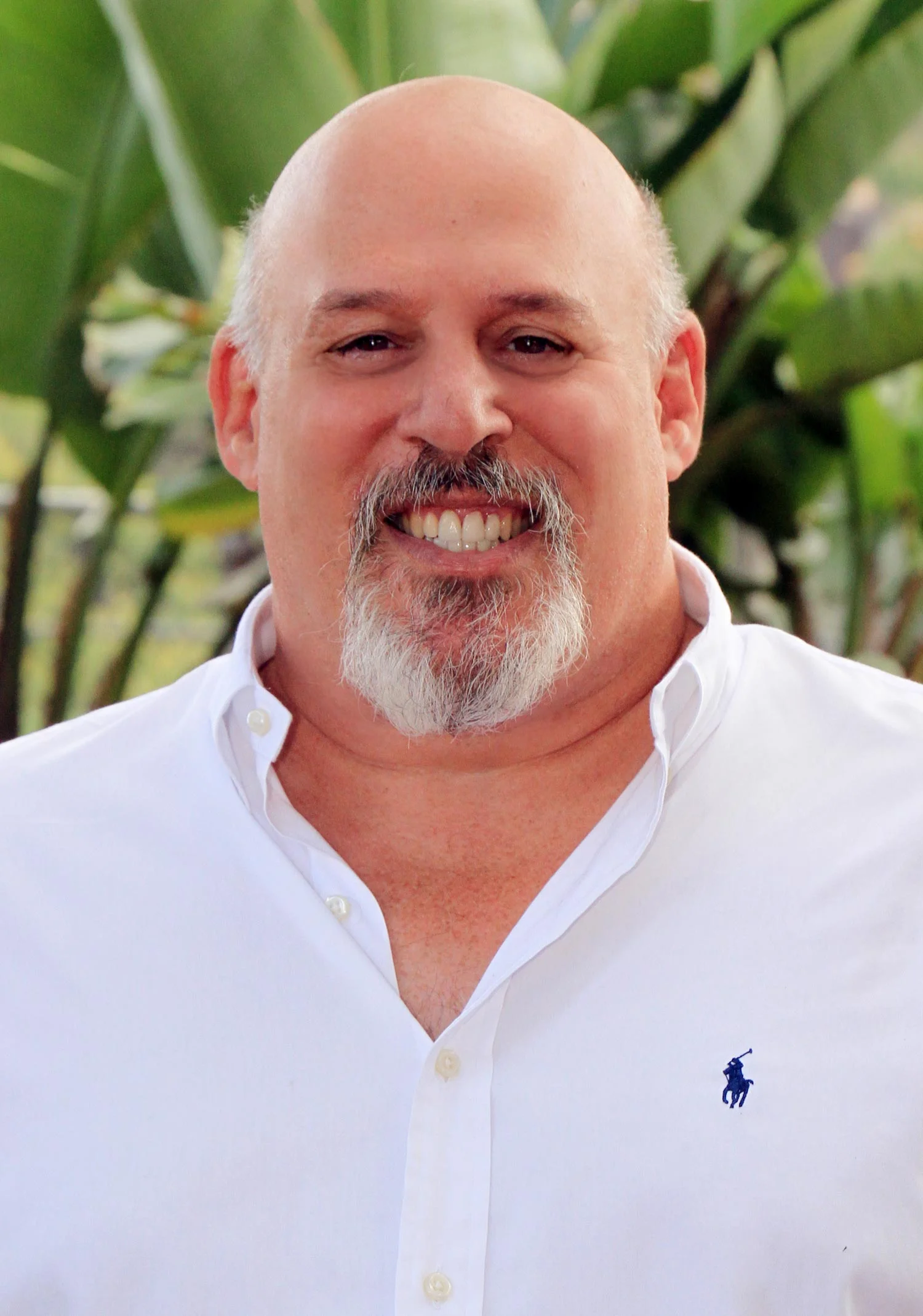 Stewart Halpern