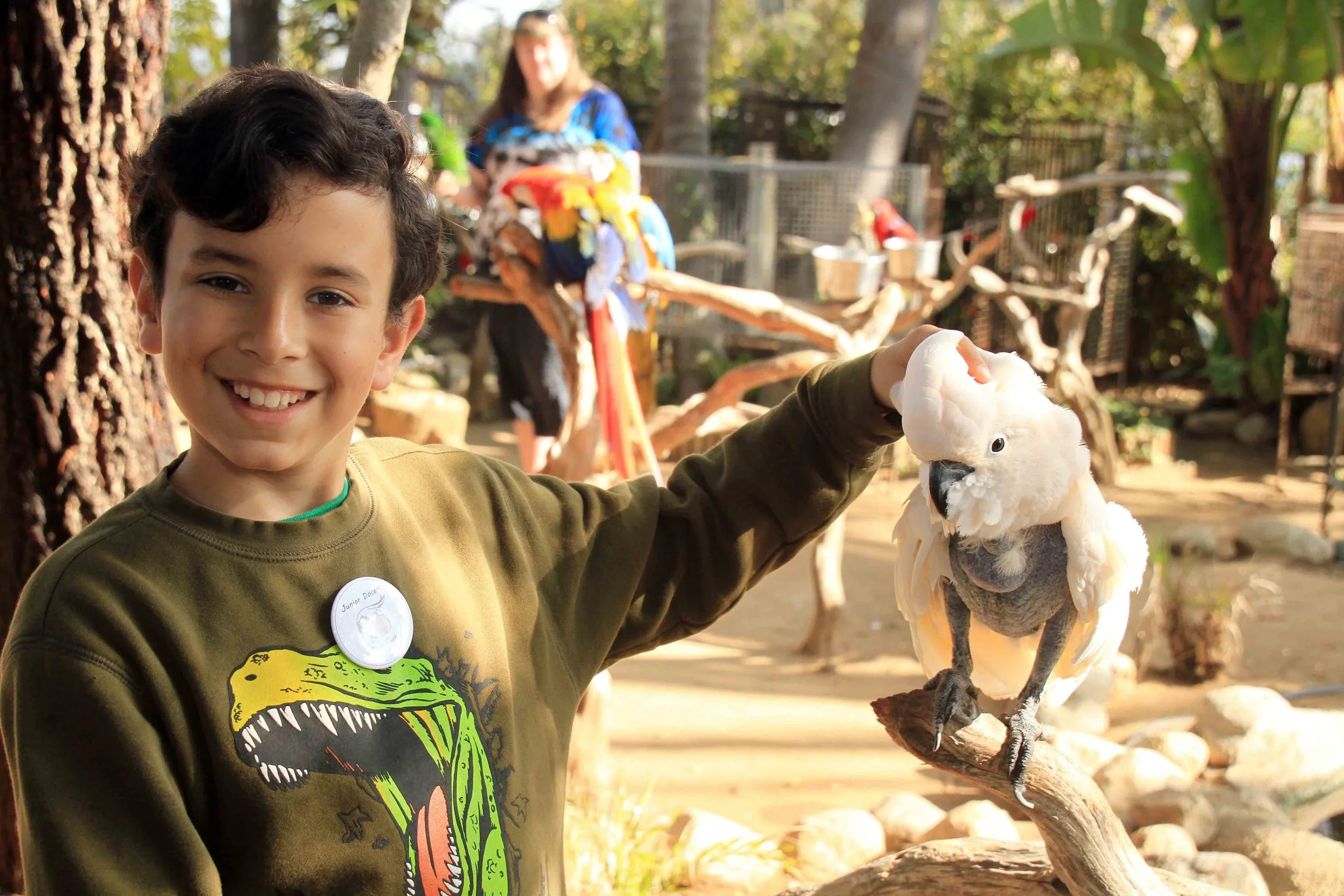 Junior Docent Program - TRAINING