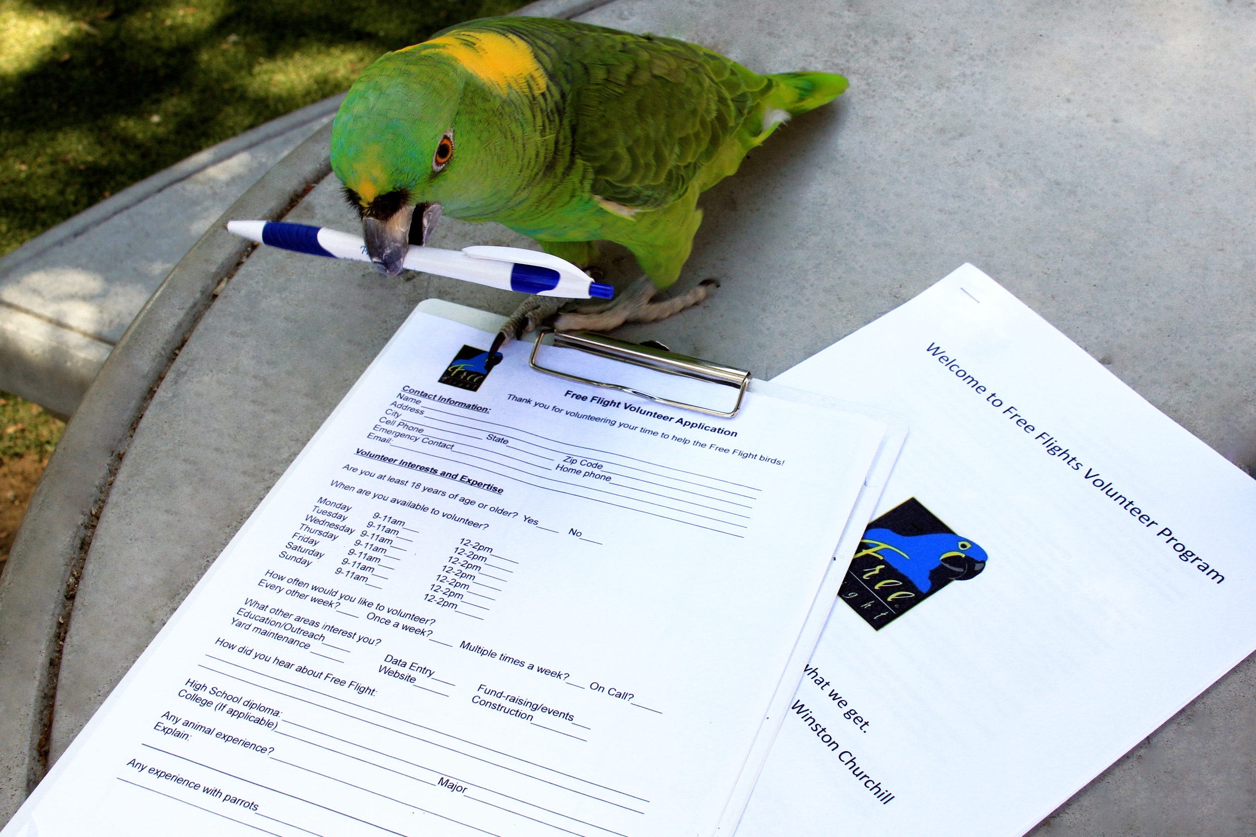 Senior Docent Orientations