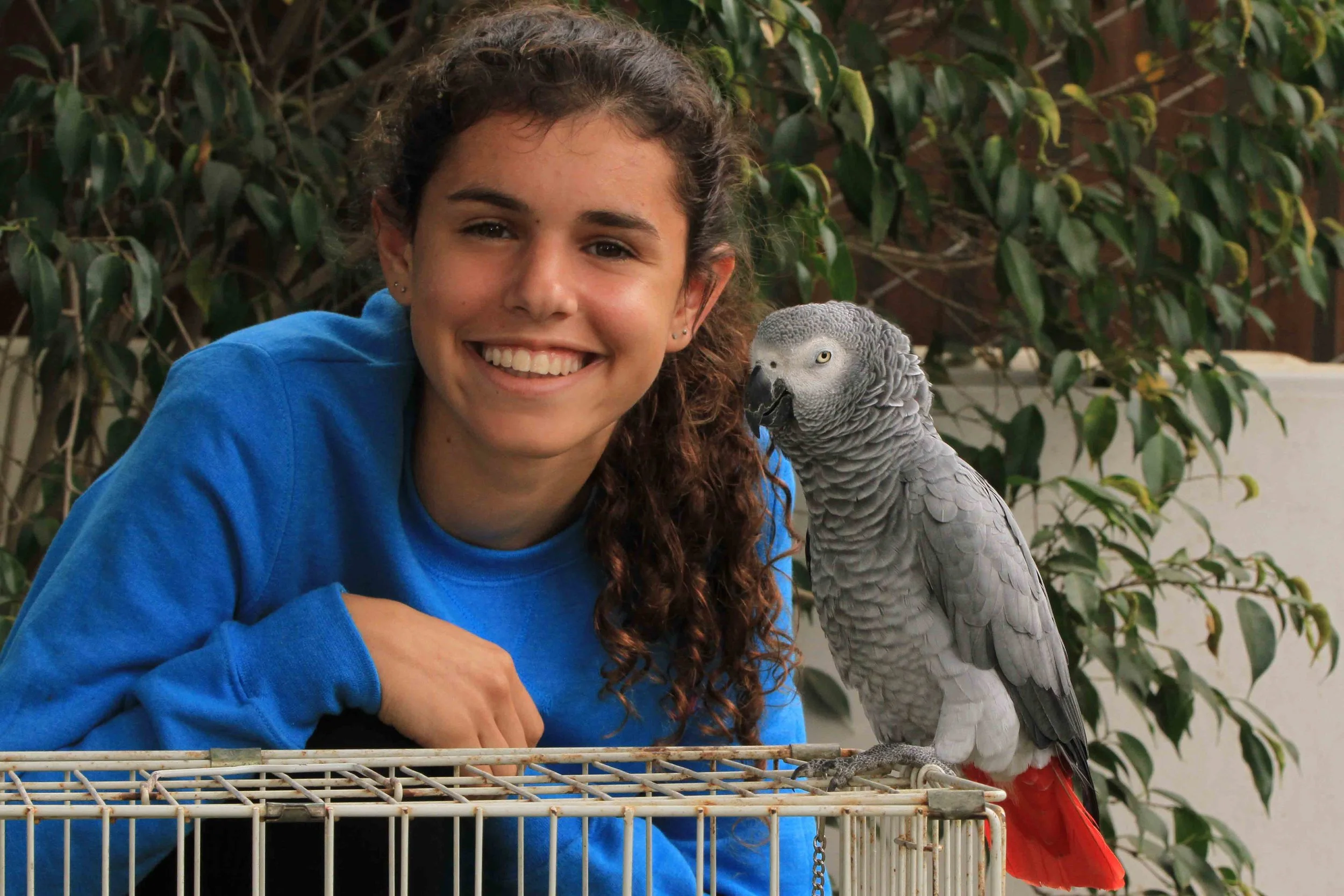 "Our relationship isn’t perfect," Naomi reflects on her relationship with Zoe. "Zoe still has a bit of phobia left in her – it may never leave – and she is stubborn about stepping up onto hands or arms or perches. But she has come a wonderfully long way. She is a bubbly, inquisitive bird, and nothing like the scared little thing that came to Free Flight years ago. I am proud to say that I have been a part of her turn-around and her road to a more normal and happy life." 