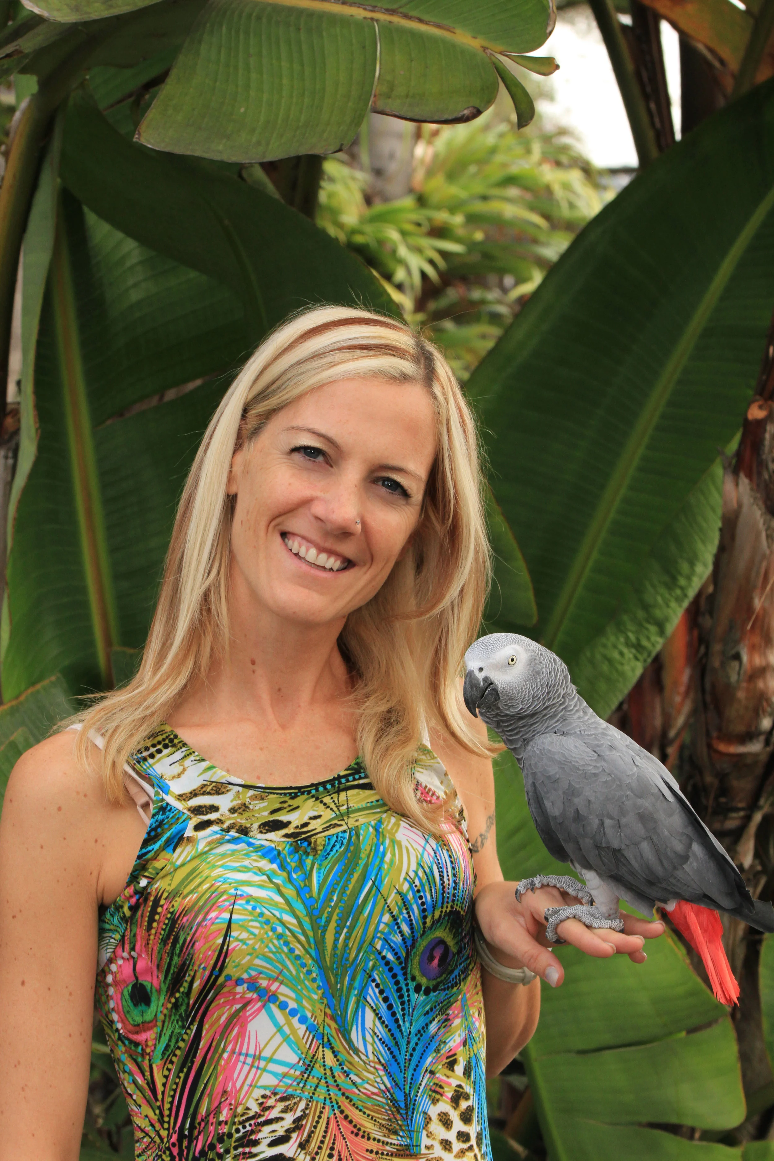 Picture Idea: About Us Free Flight Exotic Bird Sanctuary