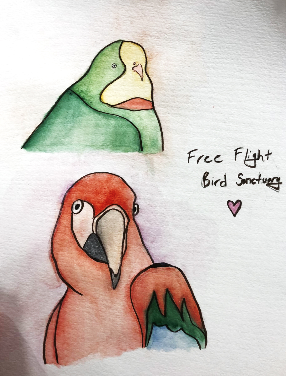 Visit Free Flight Free Flight Exotic Bird Sanctuary