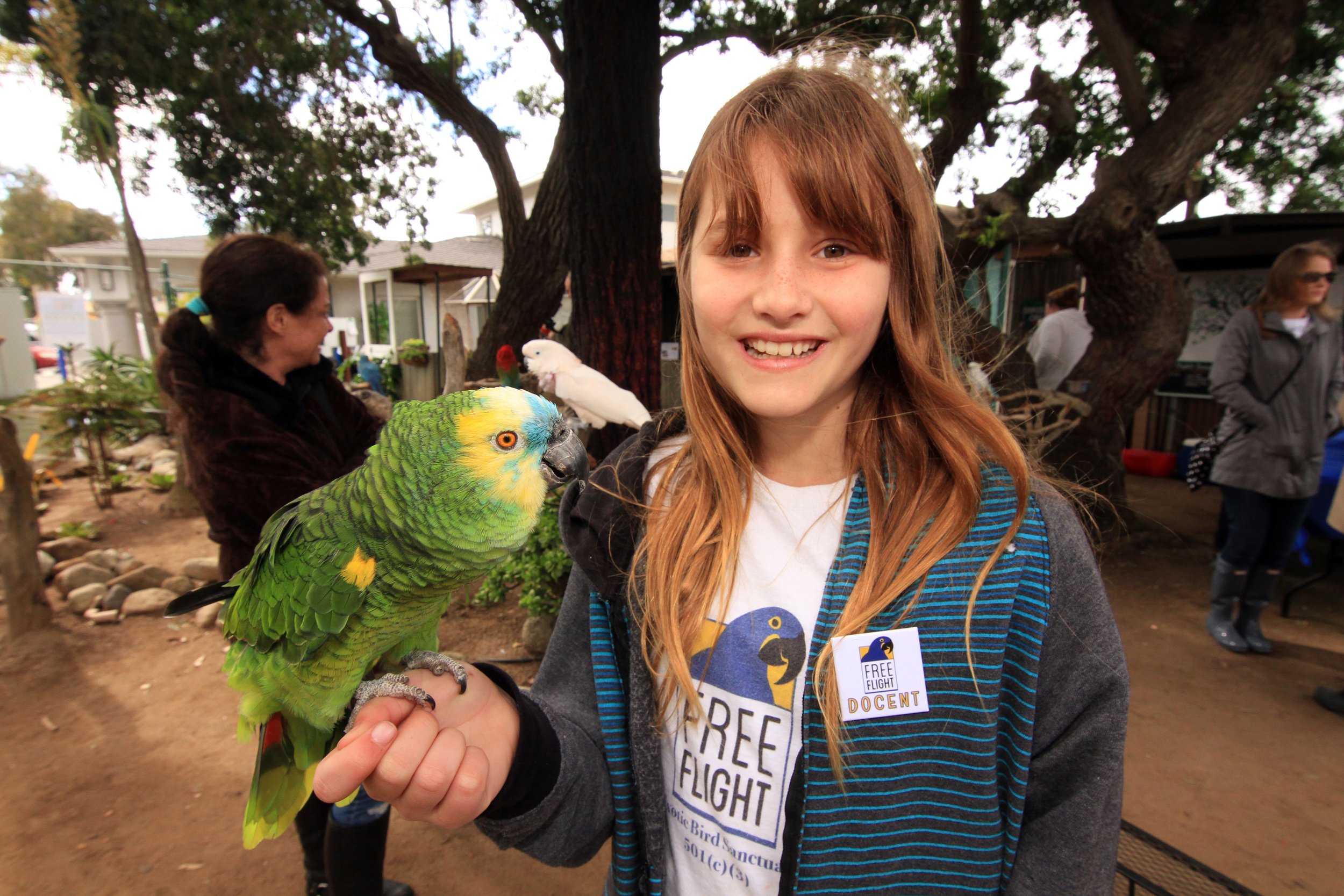 Junior Docent Training Program