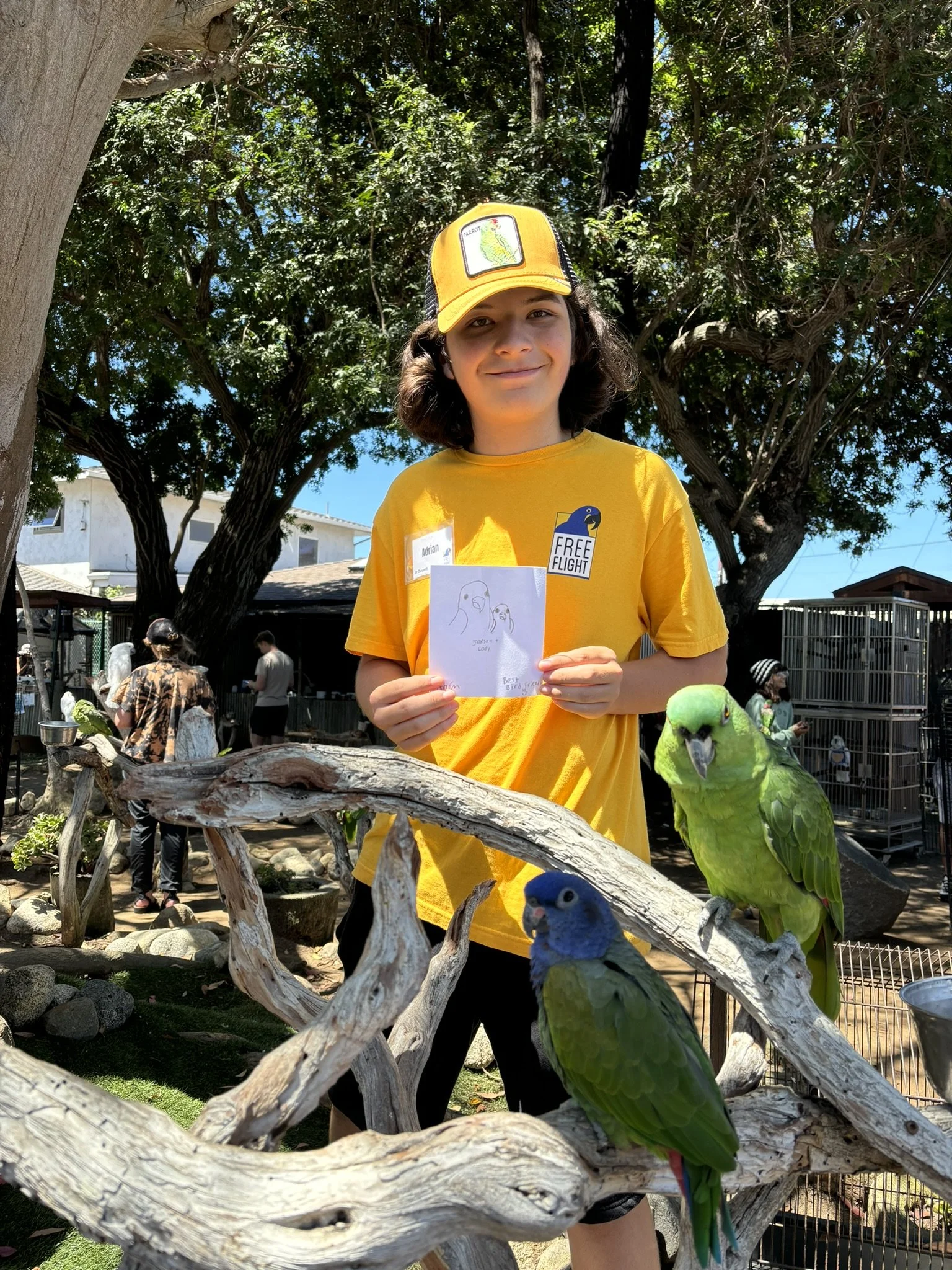 Junior Docent Training Program (age 14-17) *by application only*