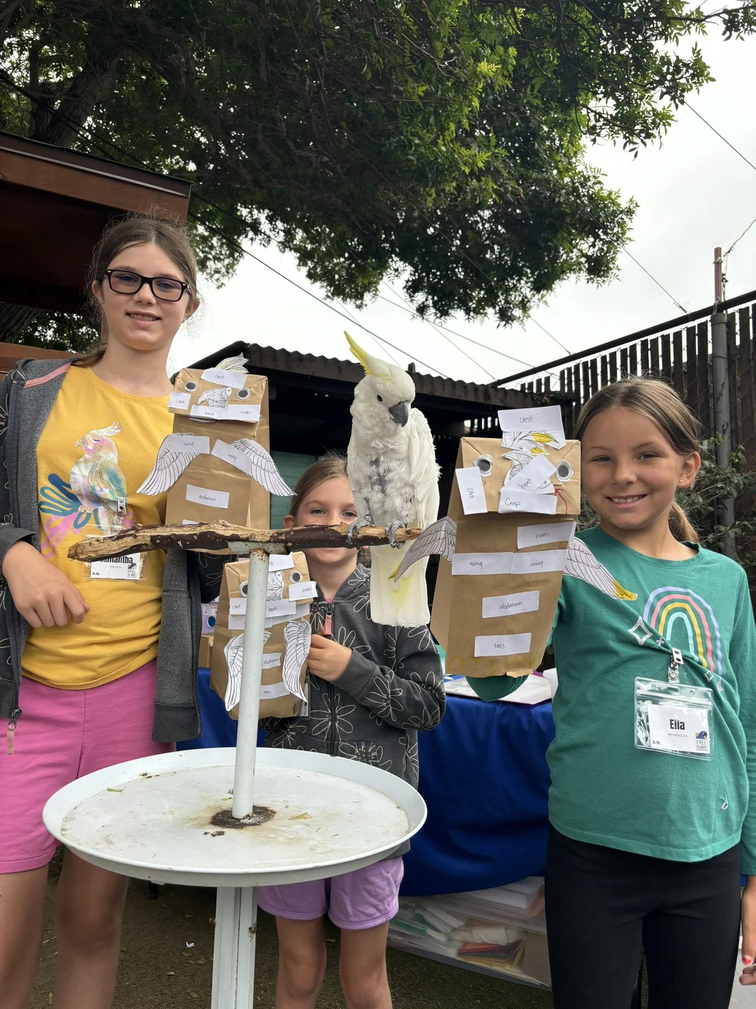 Summer Parrot Camp! (Age 7-10)    ($250) 