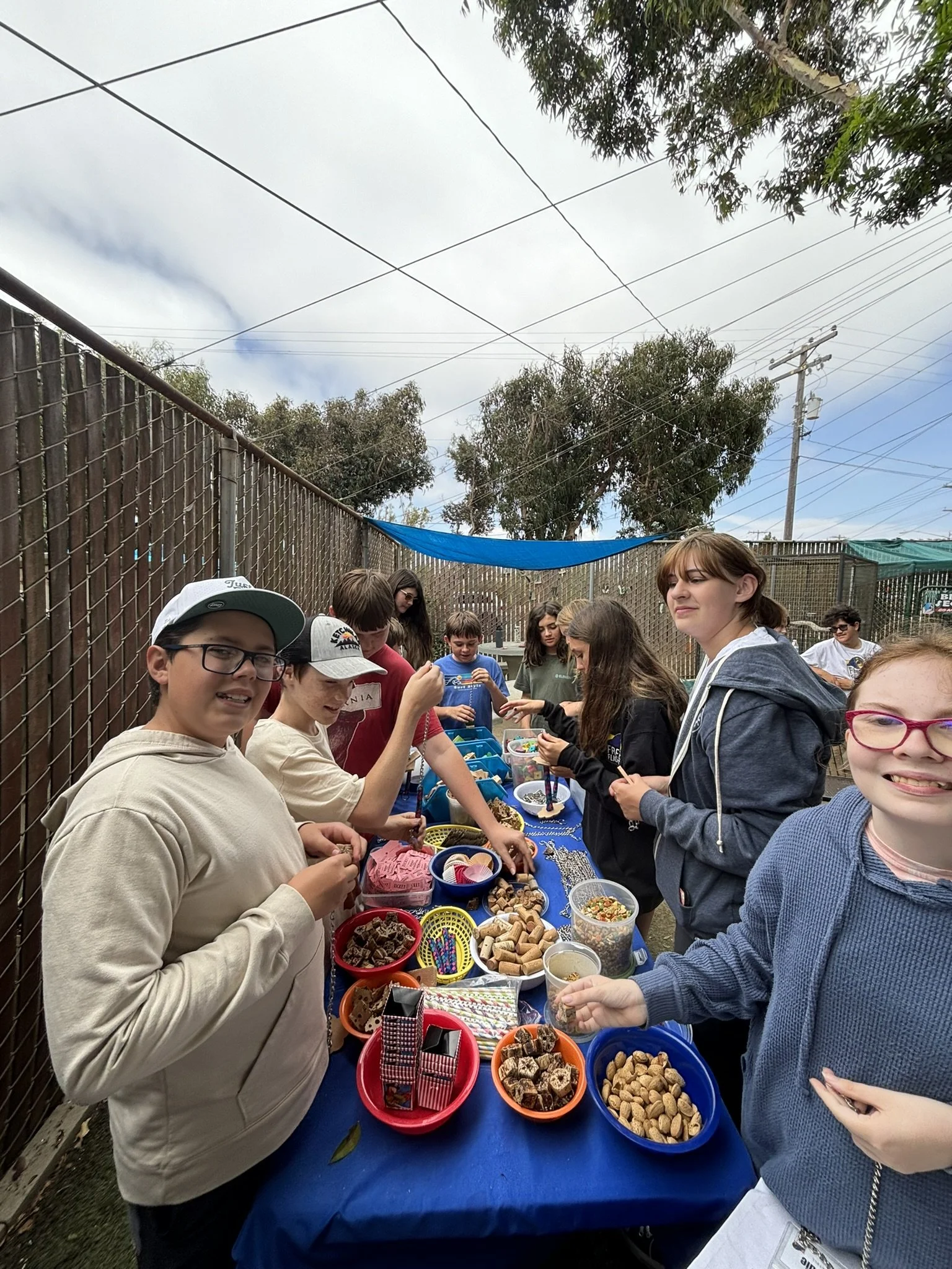 Summer Parrot Camp! (Age 11-14)  ($250)