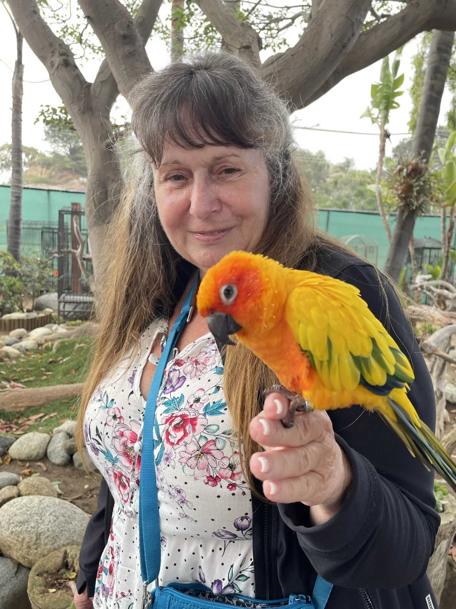 Mezcal (aka "Mezzy")