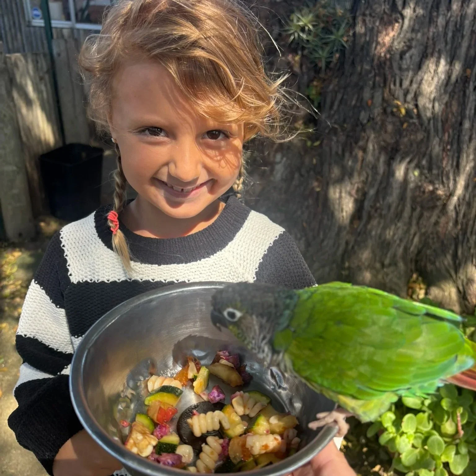 2026 Summer Parrot Camp ($250): Age 7-10