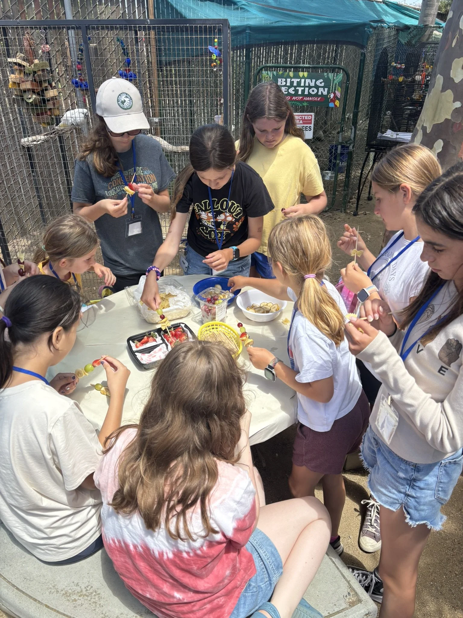 2026 Parrot Camp ($250) Age 11-14