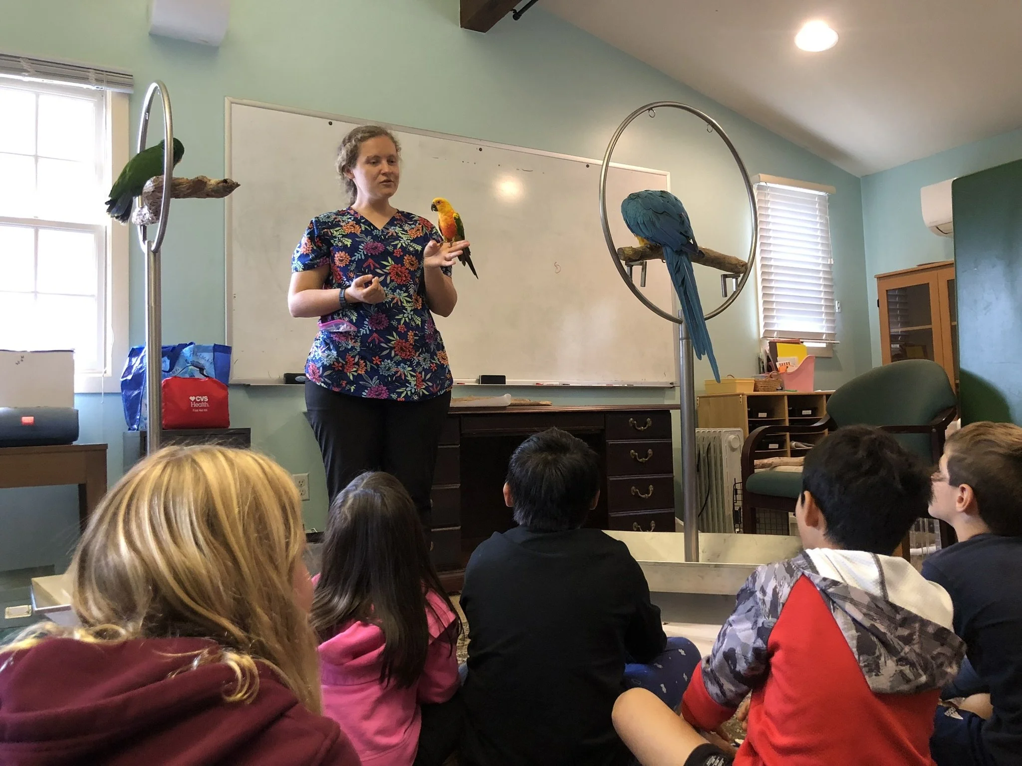 San Diego Bird Festival 2026