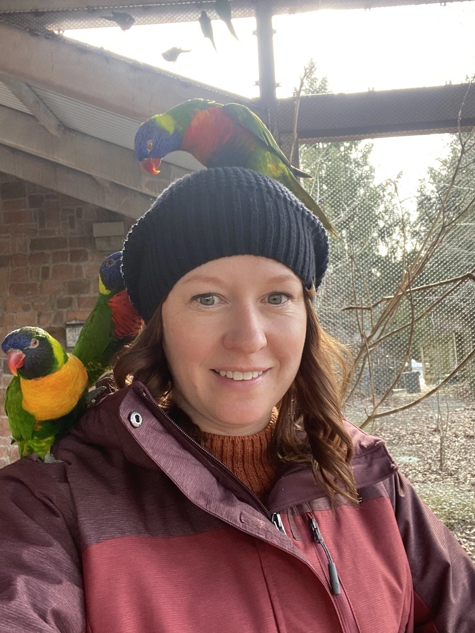 Rebecca Koller - Board Member