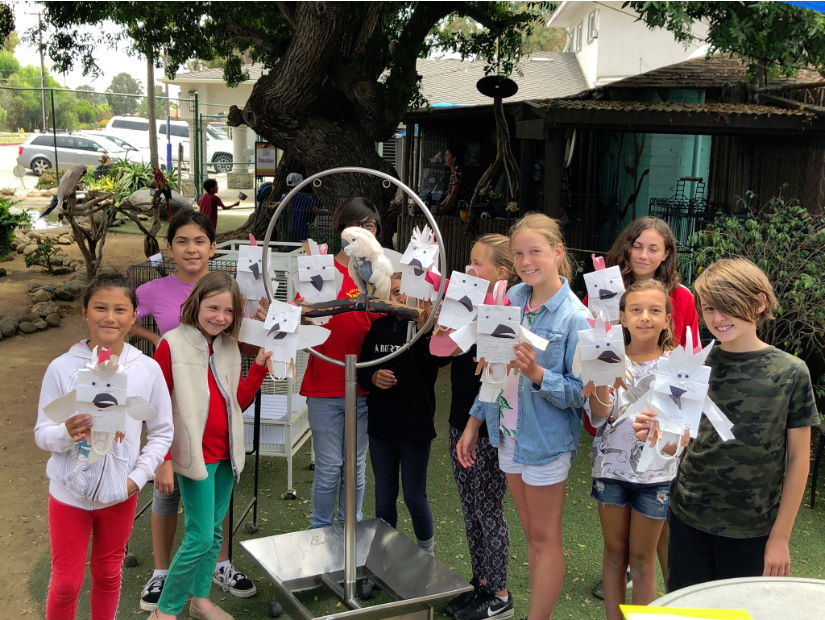 2027 Summer Parrot Camp (Age 7-10): $250