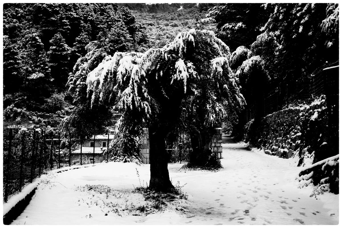 © MAJORCA WINTER by DELAFOI