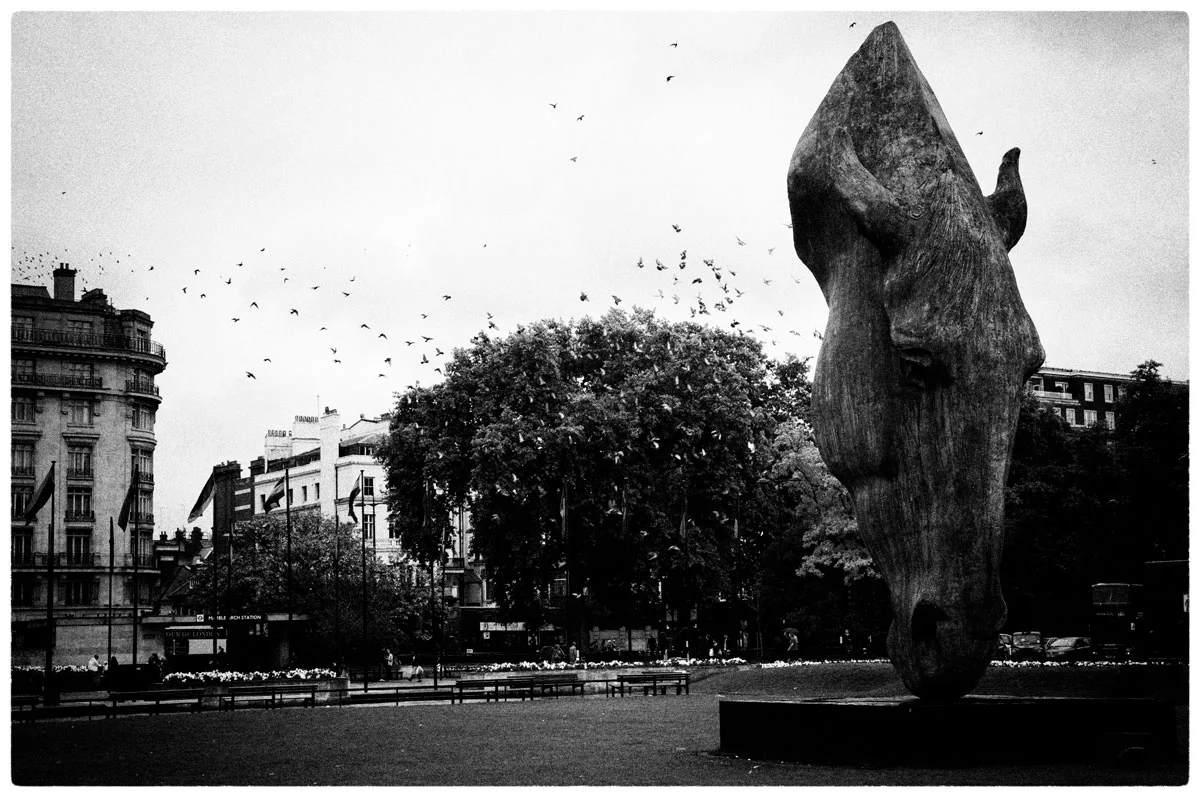 © WHERE BIRDS GO by DELAFOI