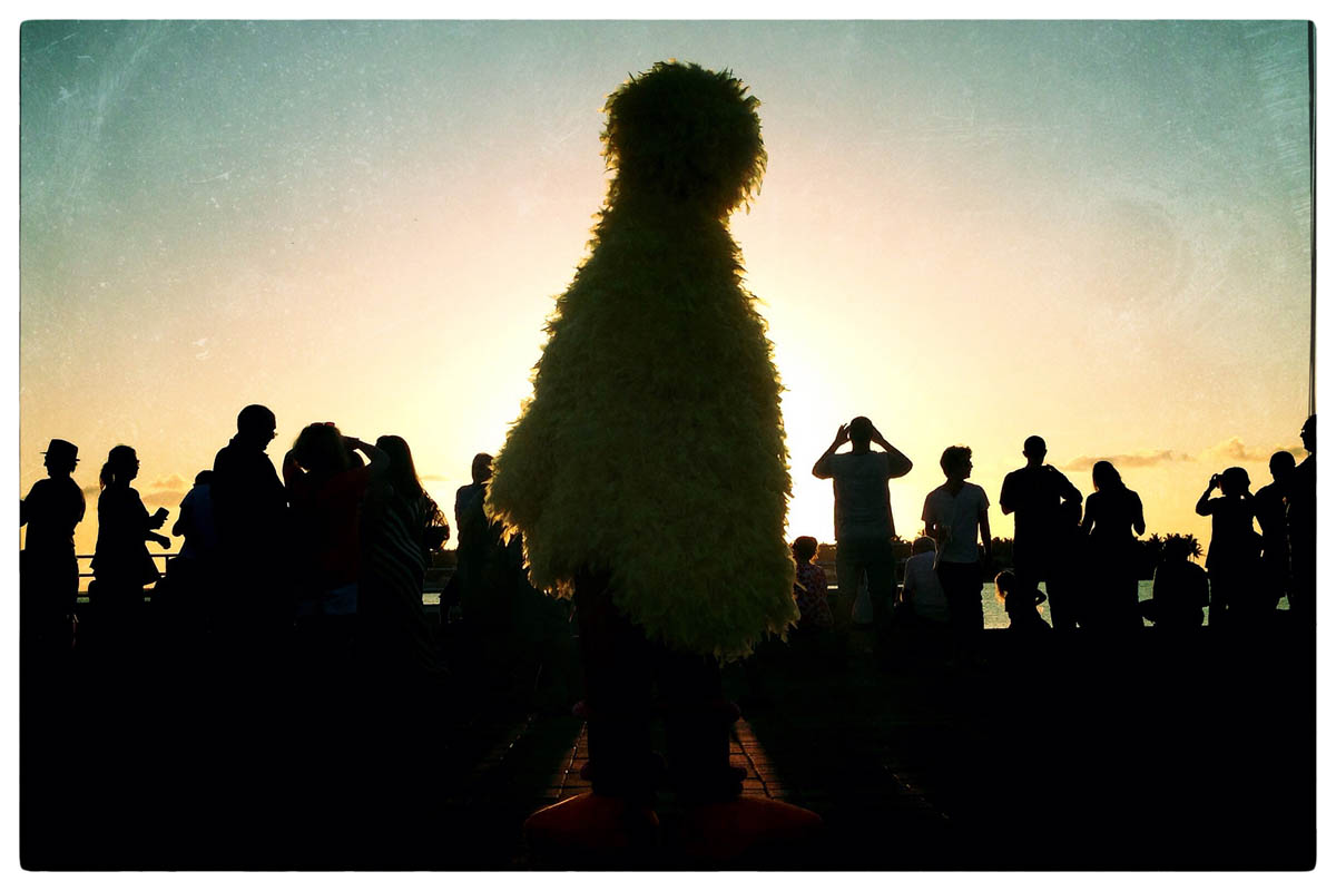 © BIG BIRD by DELAFOI