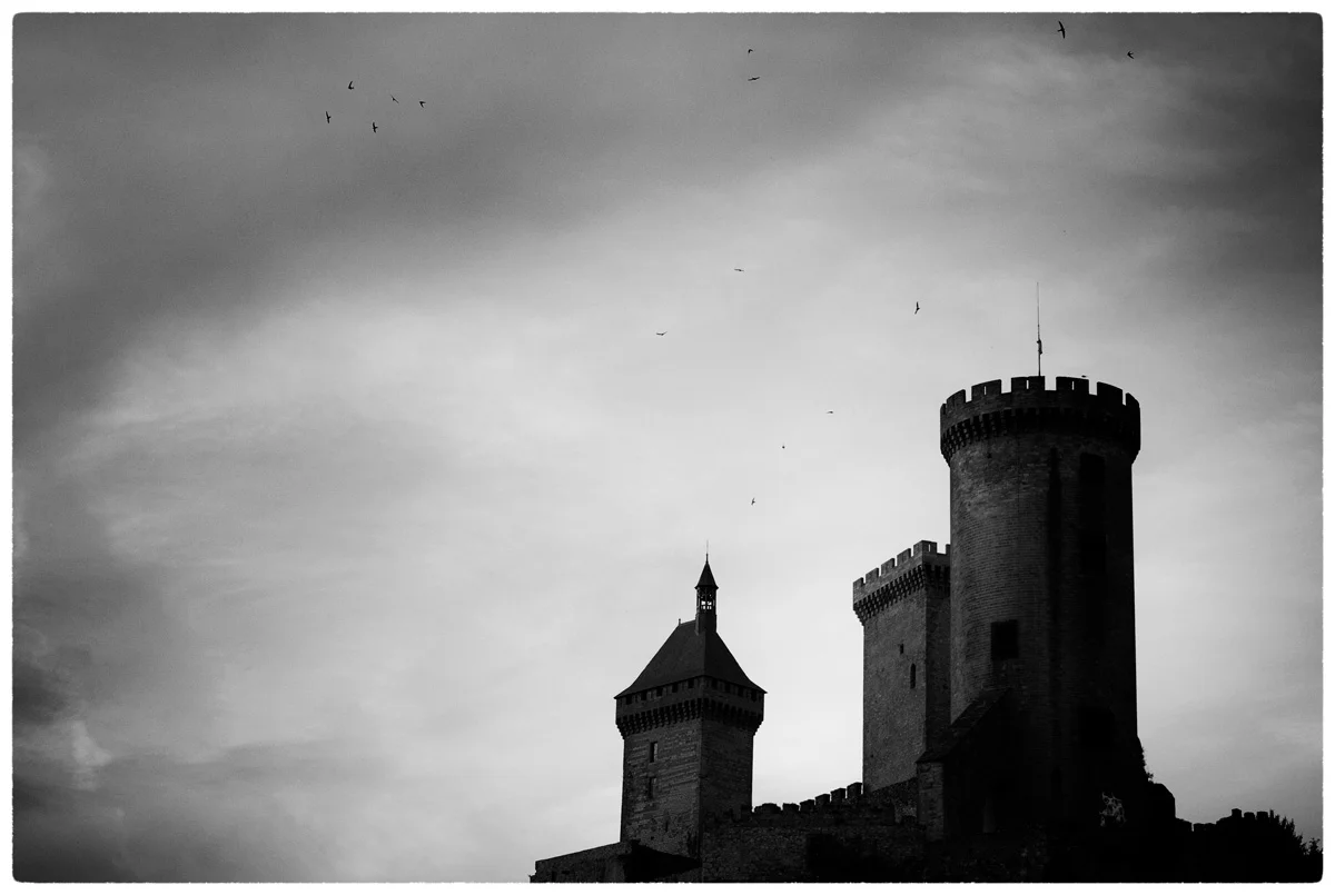 © WHERE BIRDS GO (Part 5) by DELAFOI