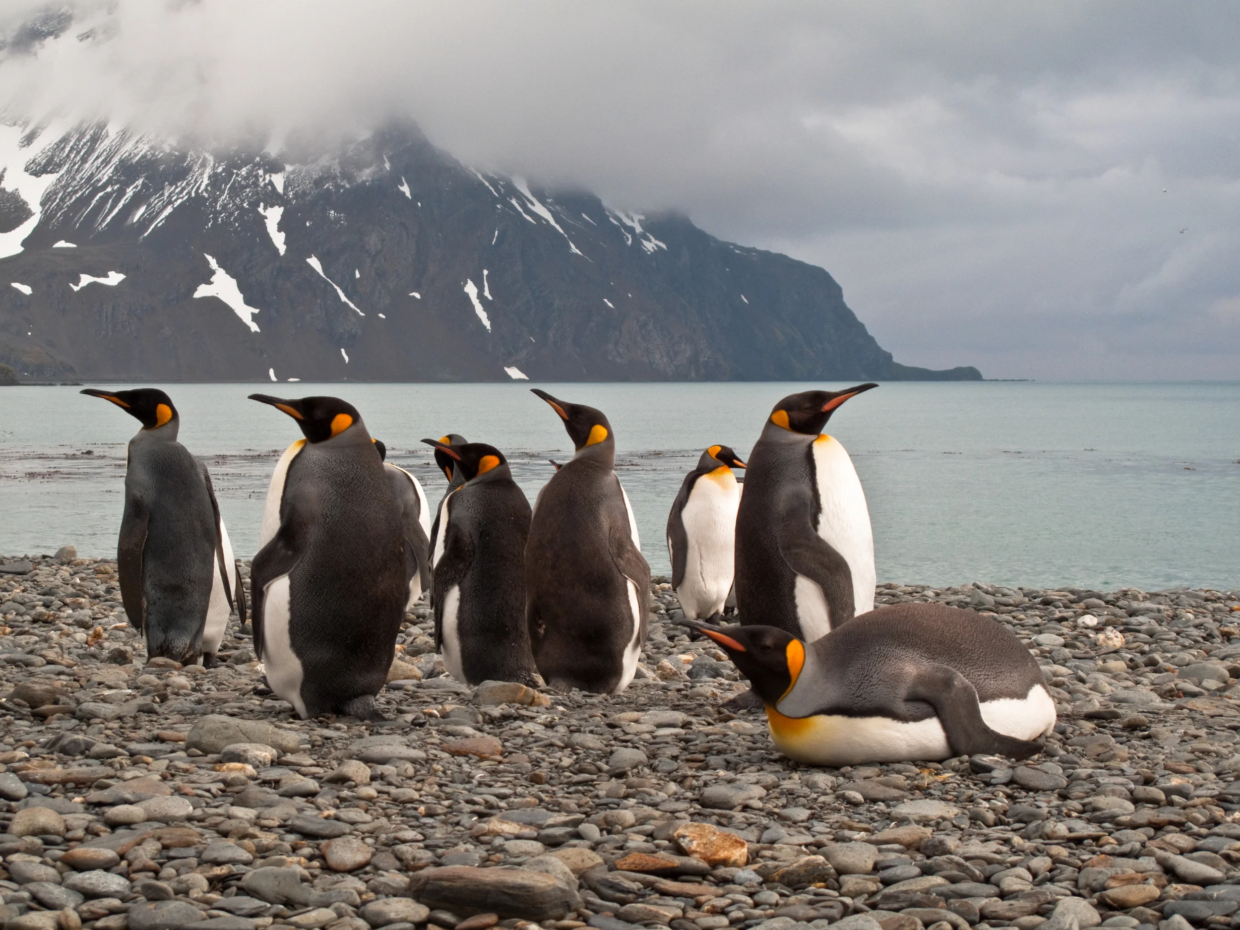 Fauna Webiste-11.jpg