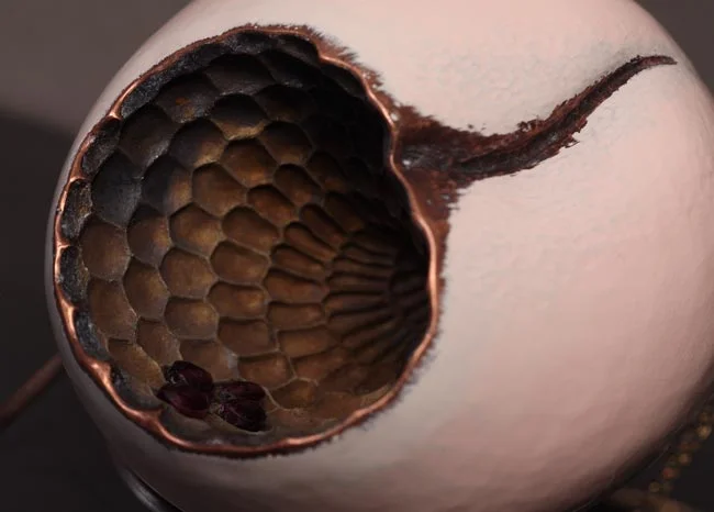 umbilicus,-detail.jpg