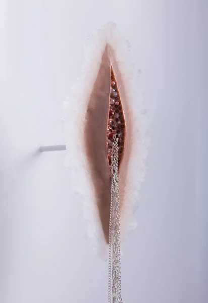 survivor_detail.jpg