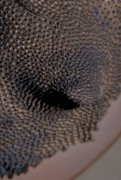 Bowl-#23-interior.jpg