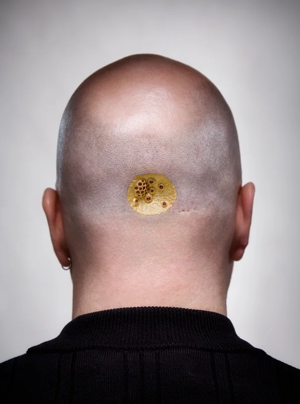Optimizer - a portrait and sculpture from the Lick series