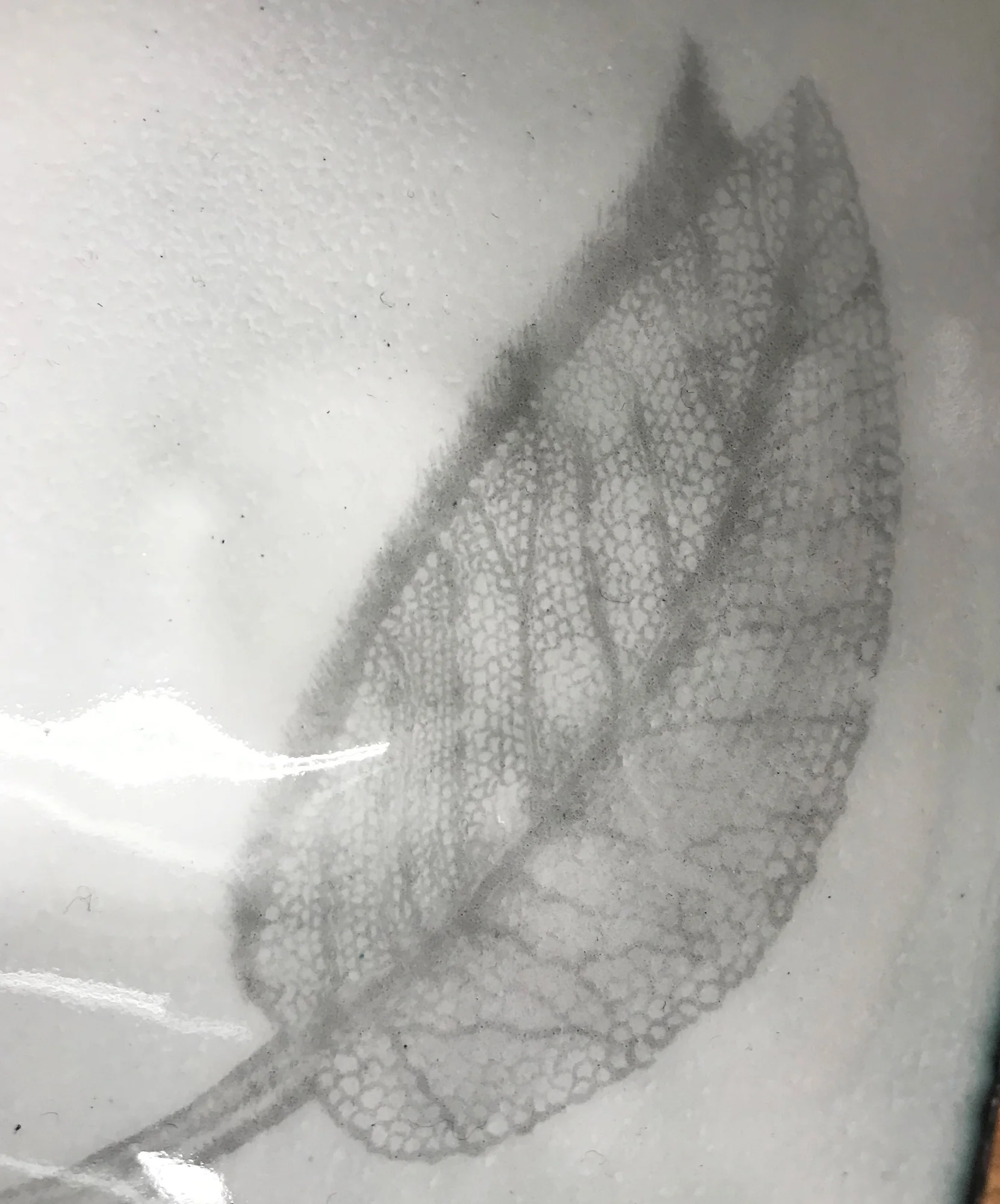 sage spice bowl