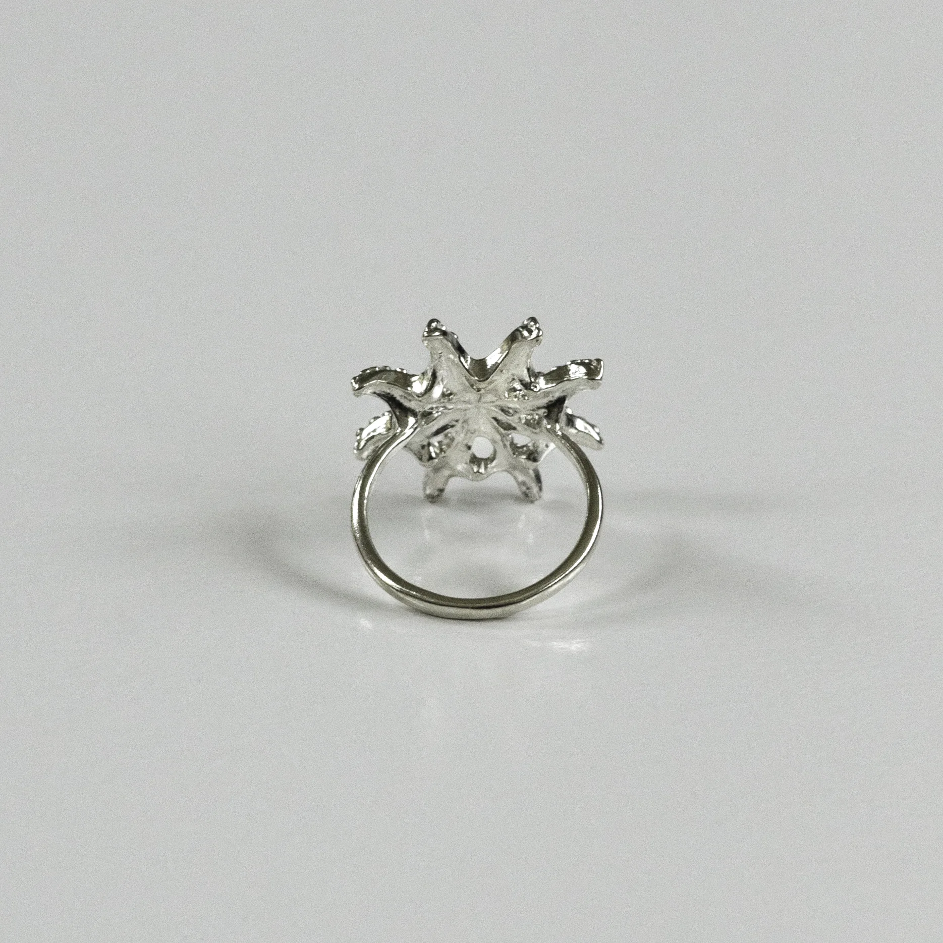 silver sea star ring contemporary jewelry design