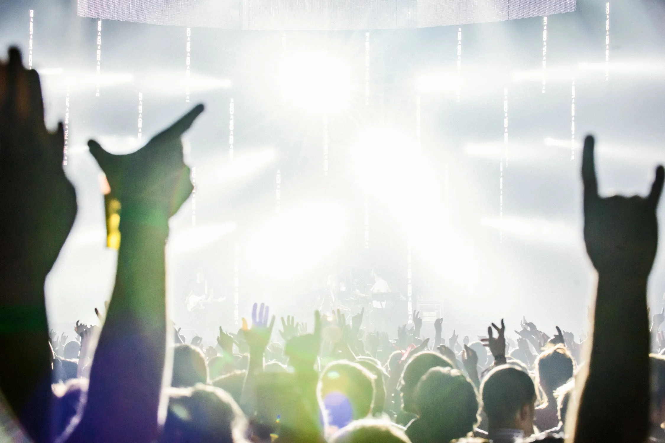 5 Things to Do in Charleston in August