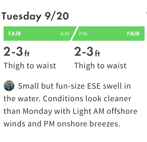 Folly-beach-surf-report.png