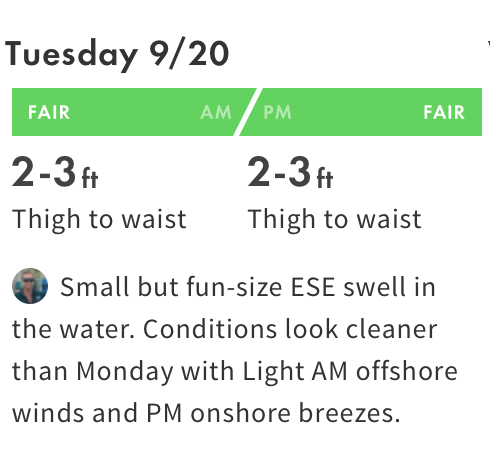 Understanding a surf forecast 101: Surfline Edition 