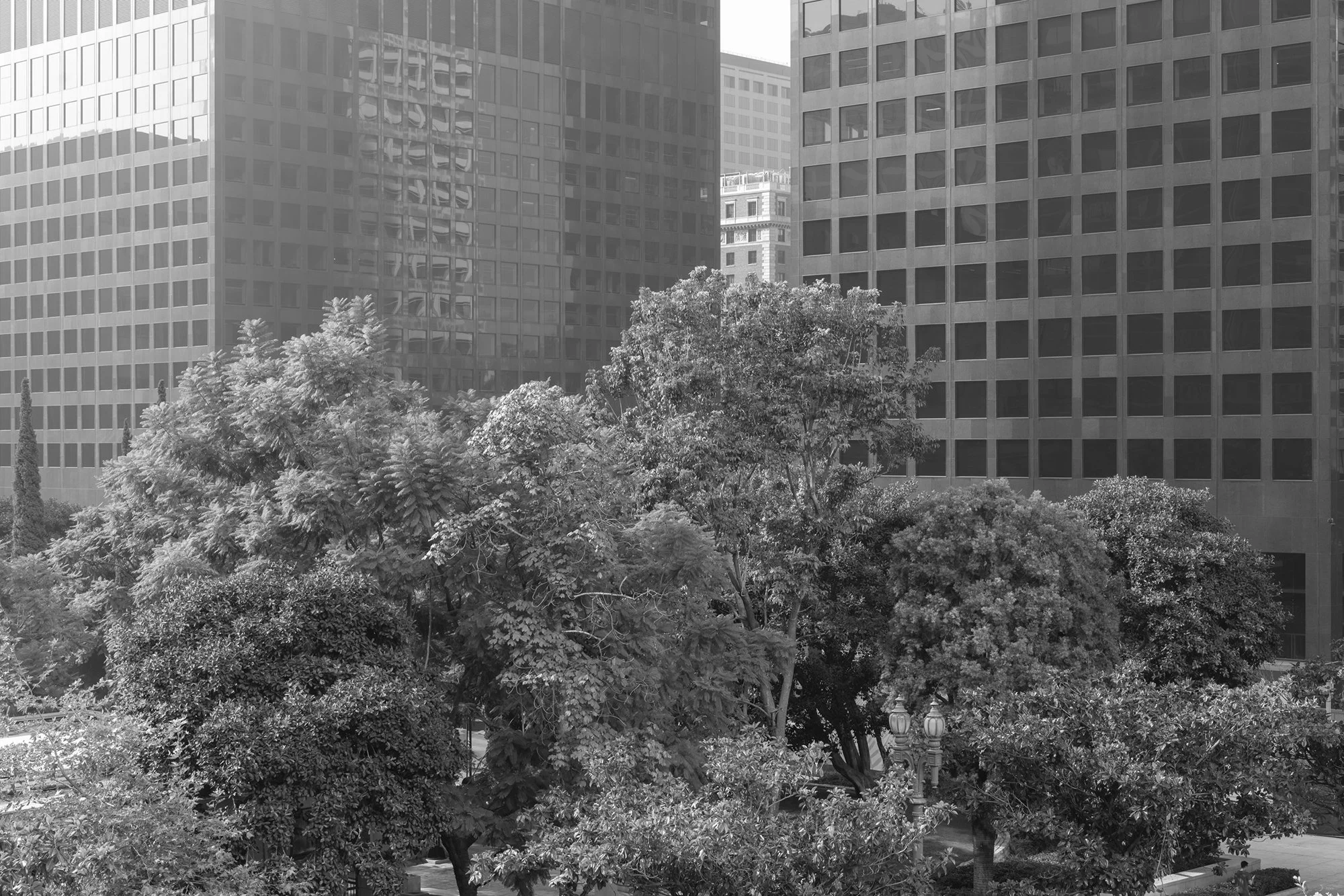 After Fortress LA #3, Los Angeles 2021 32x48" Archival Pigment Print