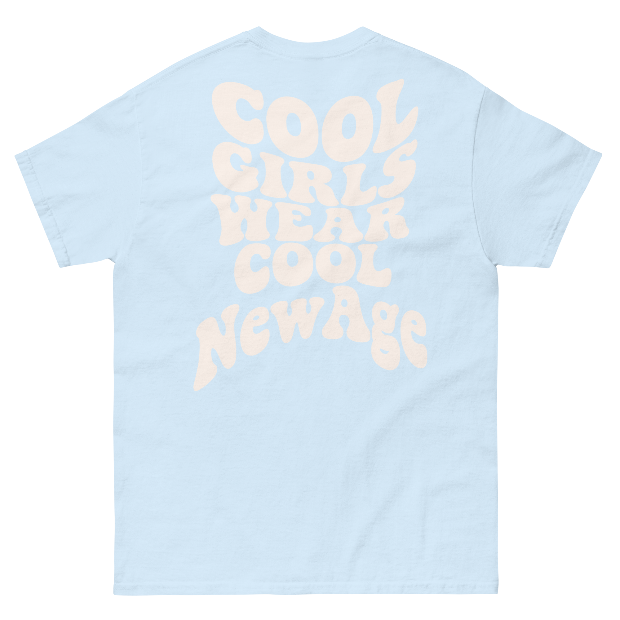 unisex-classic-tee-light-blue-back-69e63fe3b8dc2.png