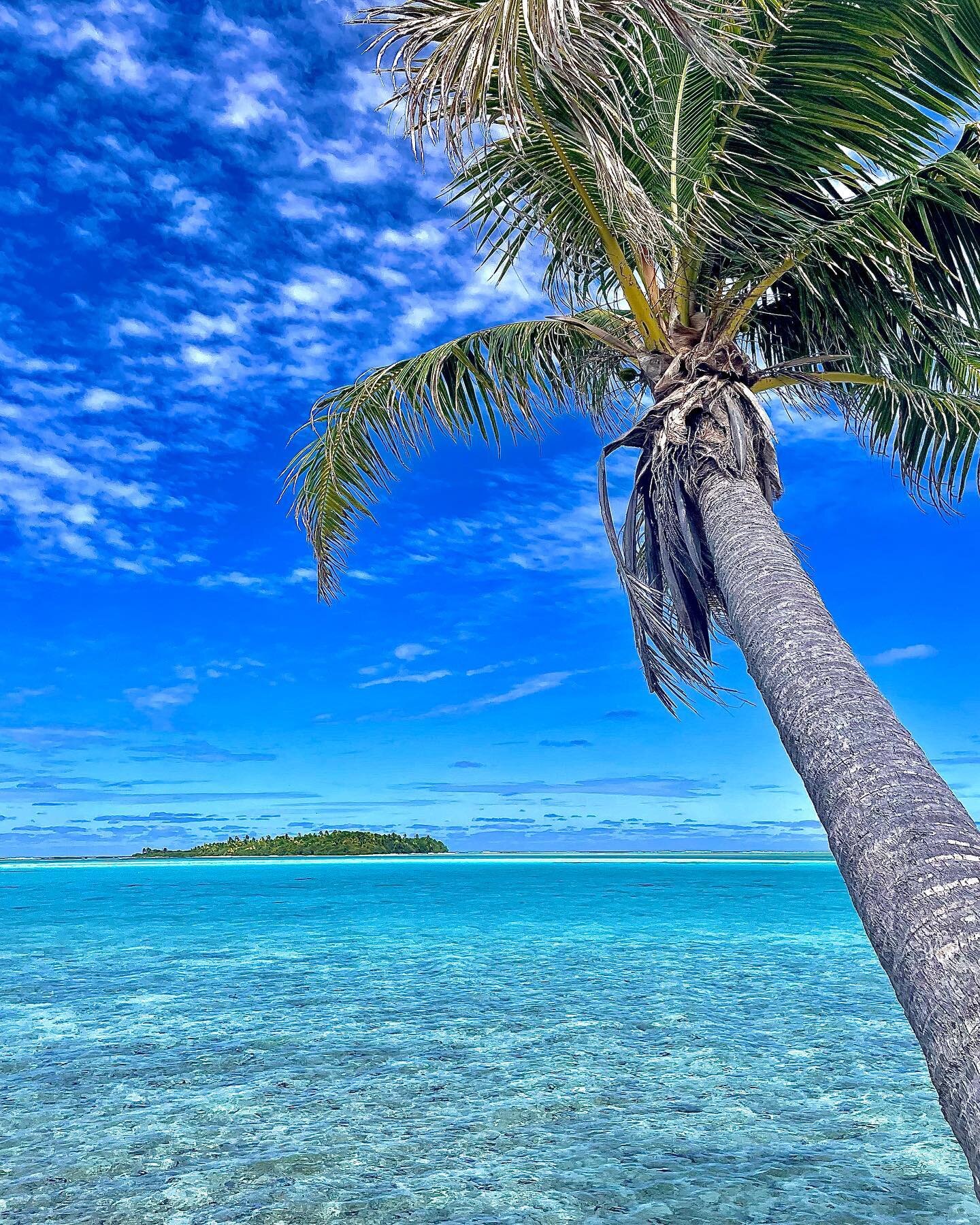 One Foot Island, Aitutaki

#cookislands #aitutakilagoon #aitutakicookislands #onefootisland #southpacific #datelinetravel #tropicaltravel #wanderlust #travelphotography #travelgram #travelblogger #traveler #vacation #bishopscruises #aitutakilagoonres