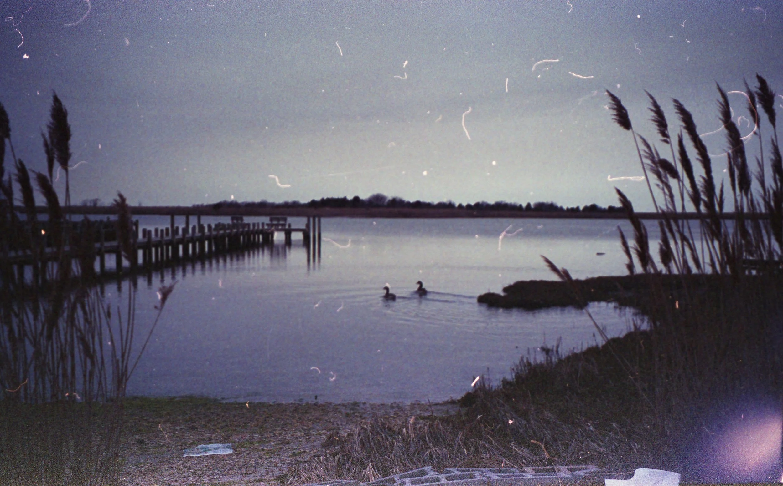 film_6.tif.jpeg