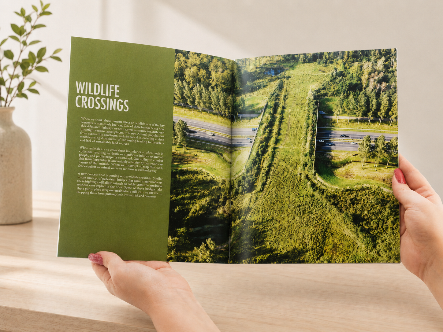 Freelance Servicem / Booklet Design