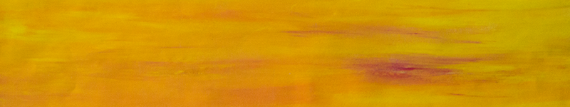 Banner 5.png