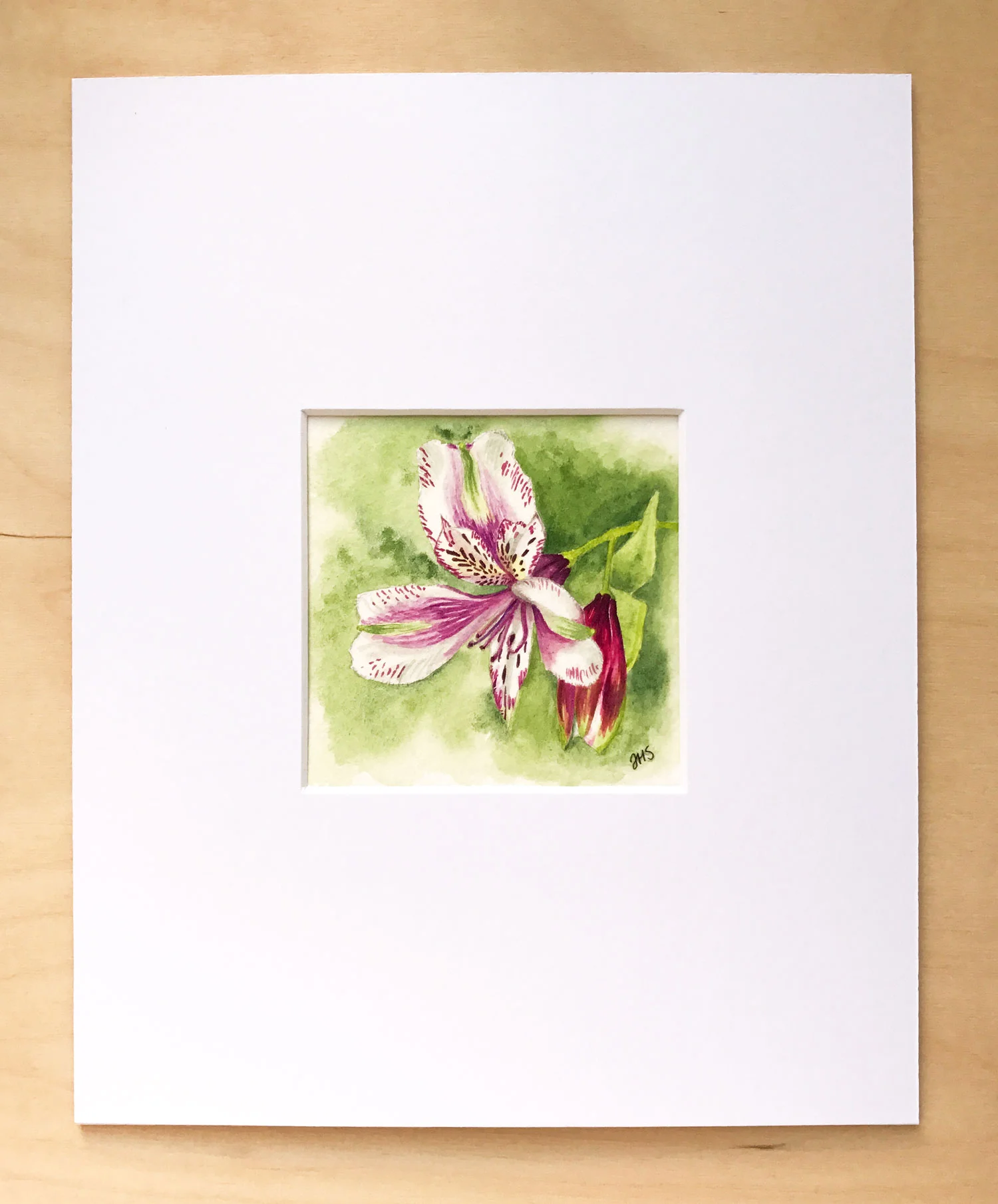 024-Alstromeria-2.jpg