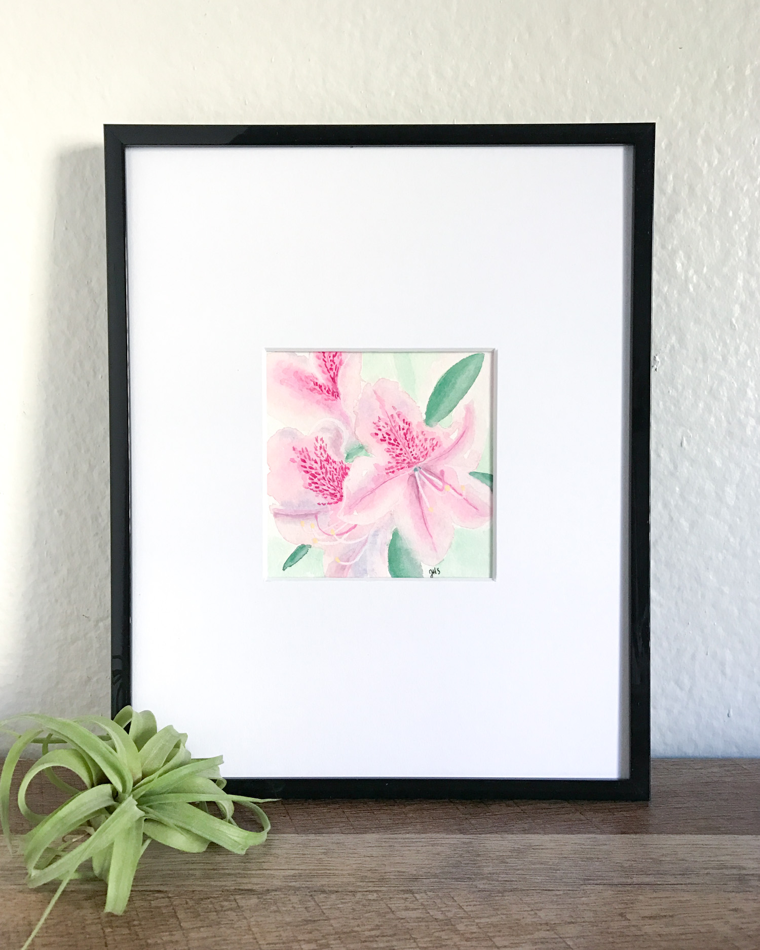28-azalea-1.jpg