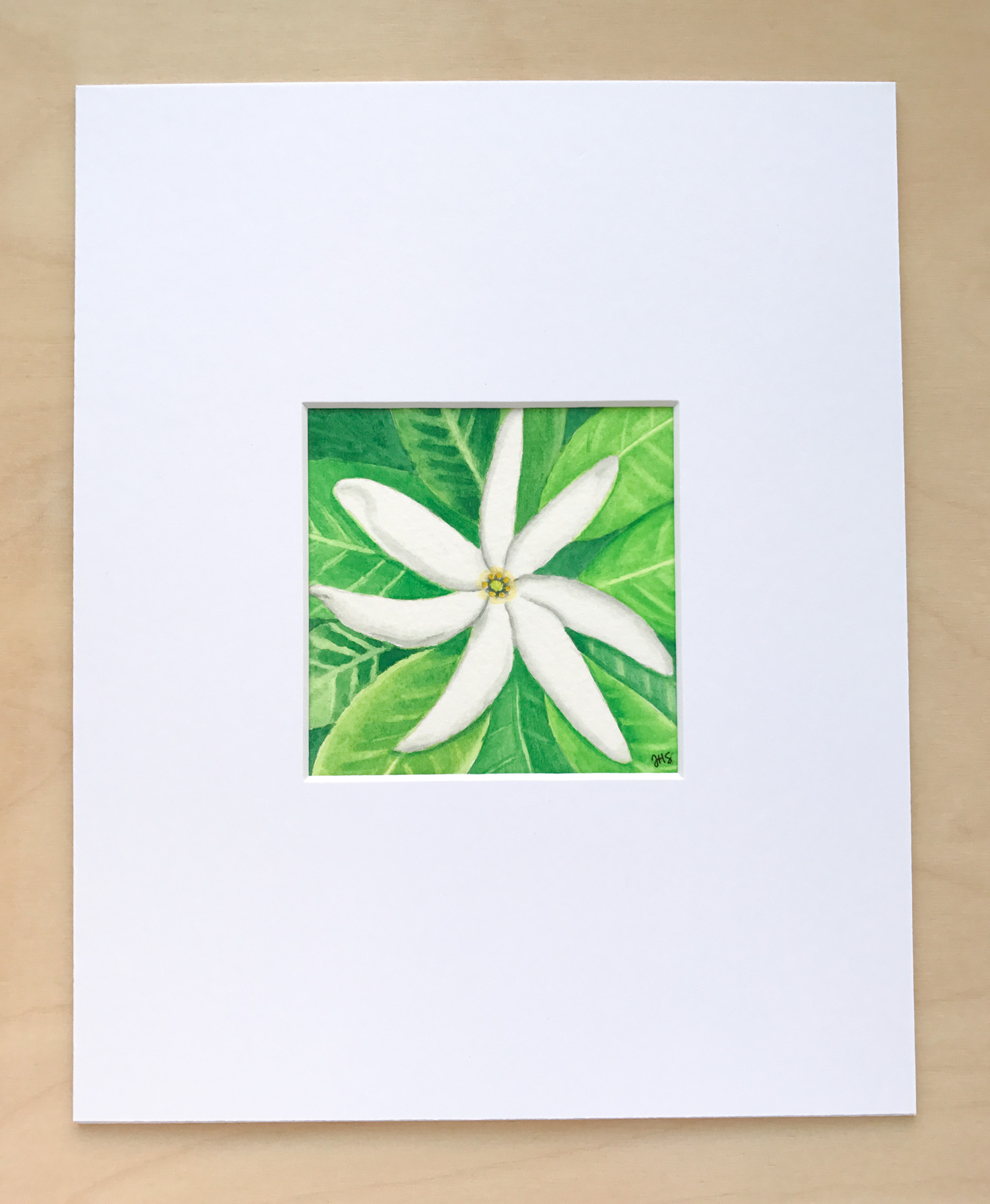 09-tahitianjasmine-2.jpg