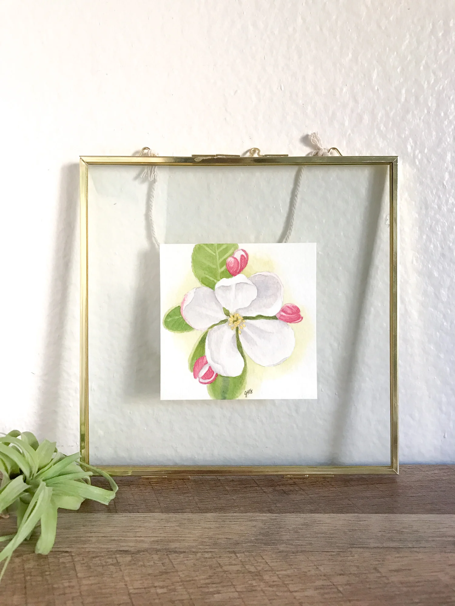 20-appleblossom-3.jpg